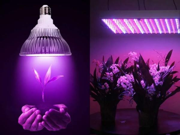 Как получить ультрафиолетовый свет в домашних условиях – что такое УФ-лампа, как устроена и работает, виды, варианты изготовления