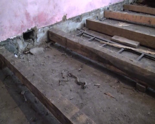 Тайны старого пола: удивительные находки под половицами Тайны старого пола: удивительные находки под половицами